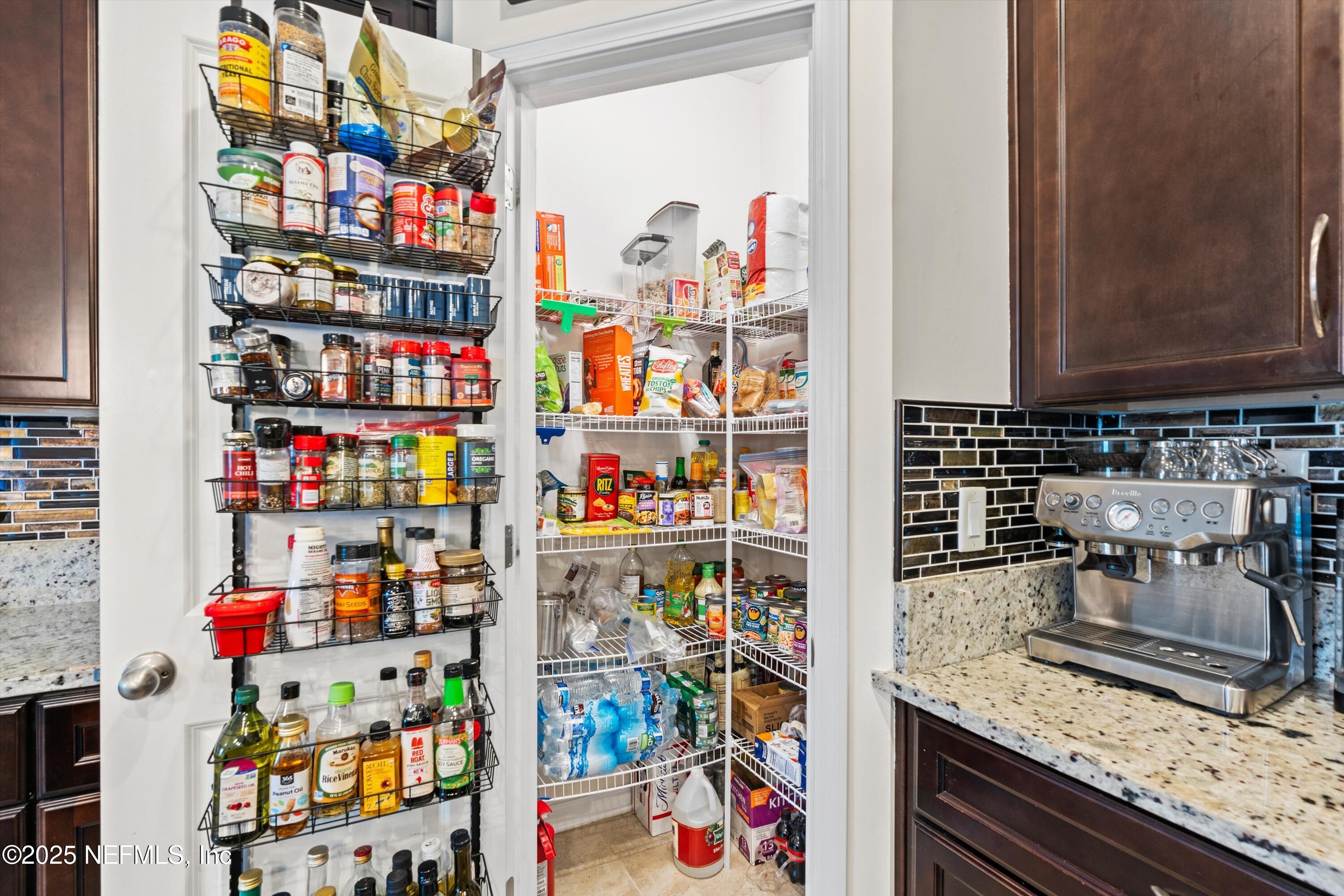 3267 Chestnut Ridge Way Orange Park, FL 32065 - Photo 8 of 43 Walk In Pantry