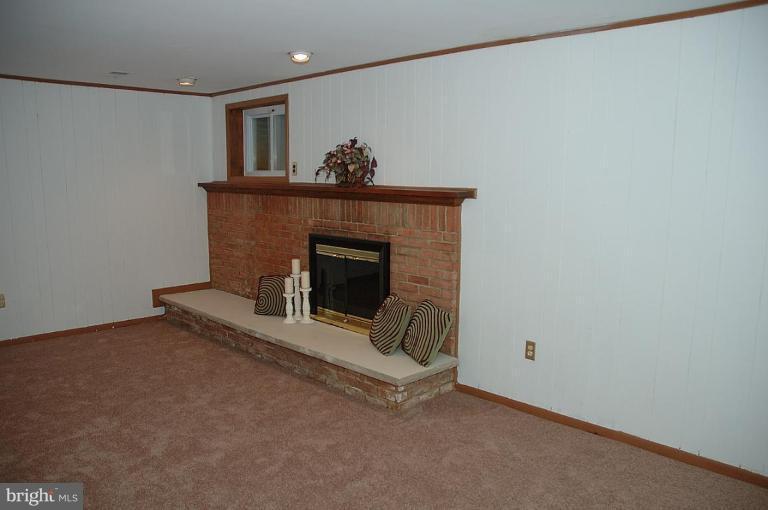 9014 Fox Grape Lane Springfield, VA 22152 - Photo 10 of 13 Basement #2