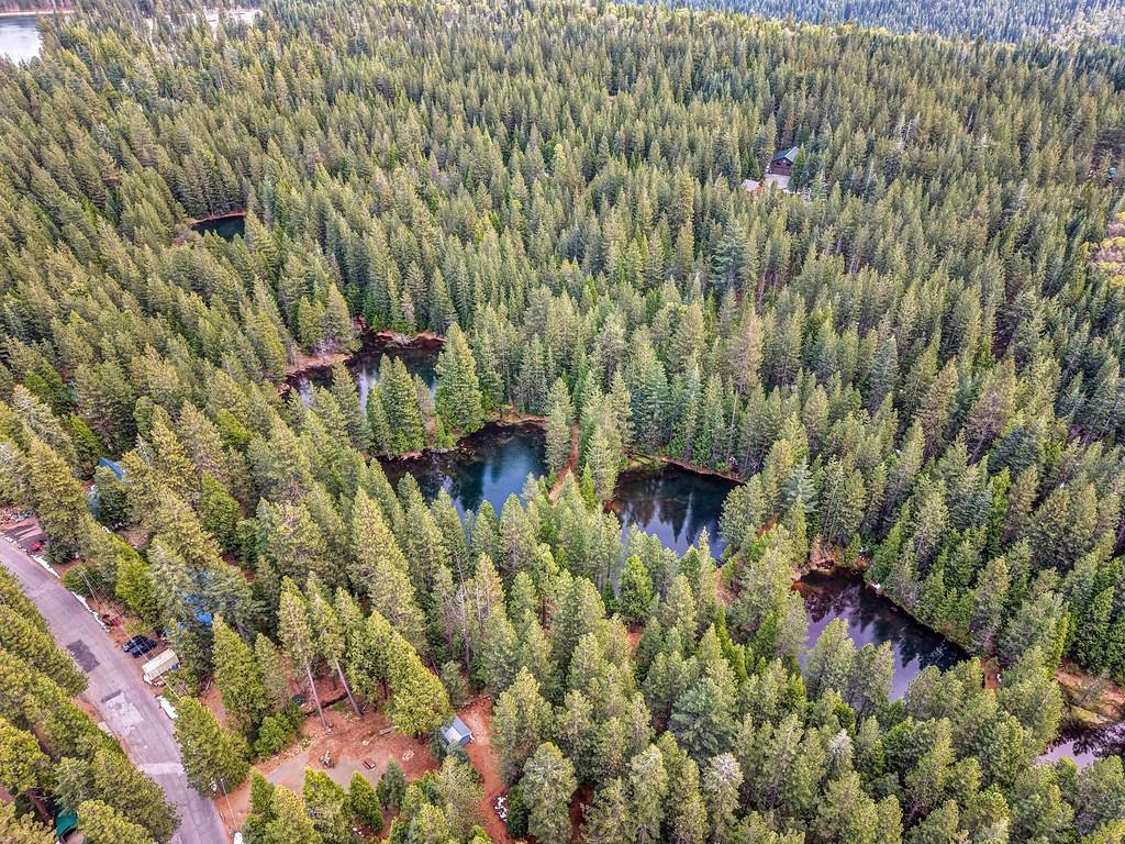 41130 Putt Road Emigrant Gap, CA 95715 - Photo 25 of 26