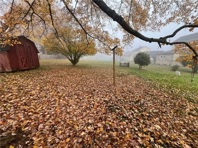 a view of a yard with a tree