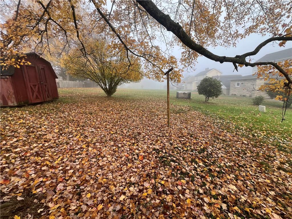 503 Main Street Leechburg, PA 15656 - Photo 10 of 20 a view of a yard with a tree