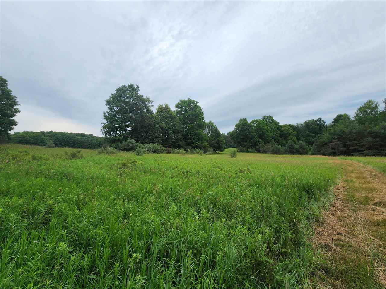 1 1 1 Mile Road White Cloud, MI 49349 - Photo 11 of 12