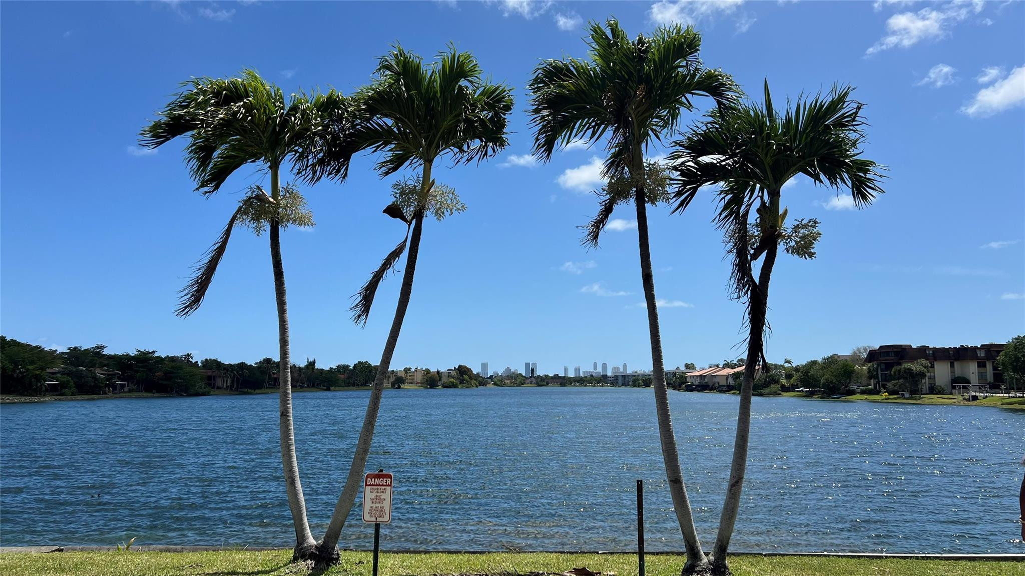 a view of a lake with palm trees