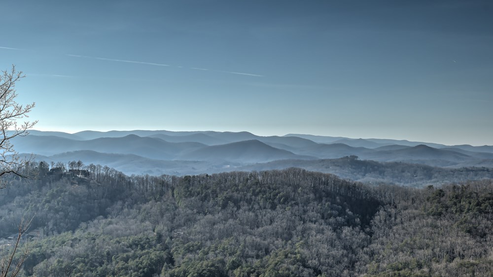 98 Snake Nation Overlook Blue Ridge, GA 30513 - Photo 33 of 47 Gallery Image 33