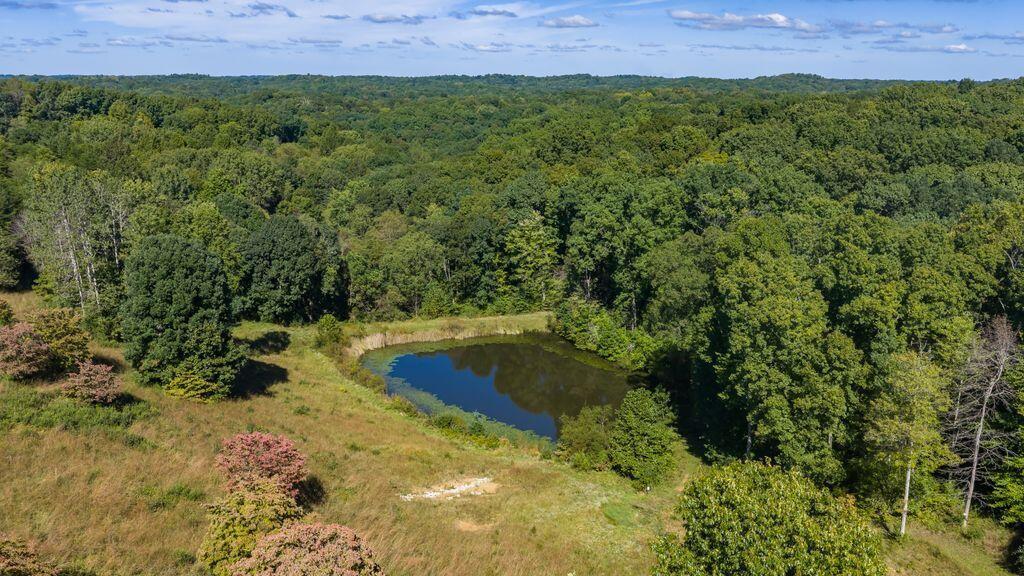 24603 Potter Ridge Road Creola, OH 45622 - Photo 89 of 99 24603 Potter Ridge Drone00001