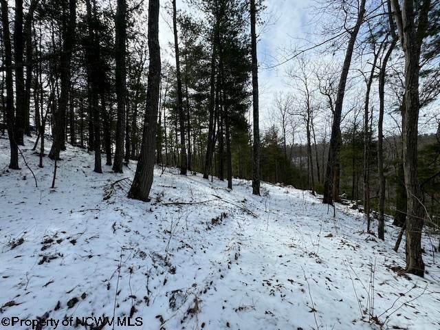 1 Spruce Run Poca, WV 25159 - Photo 16 of 38 Gallery Image 16