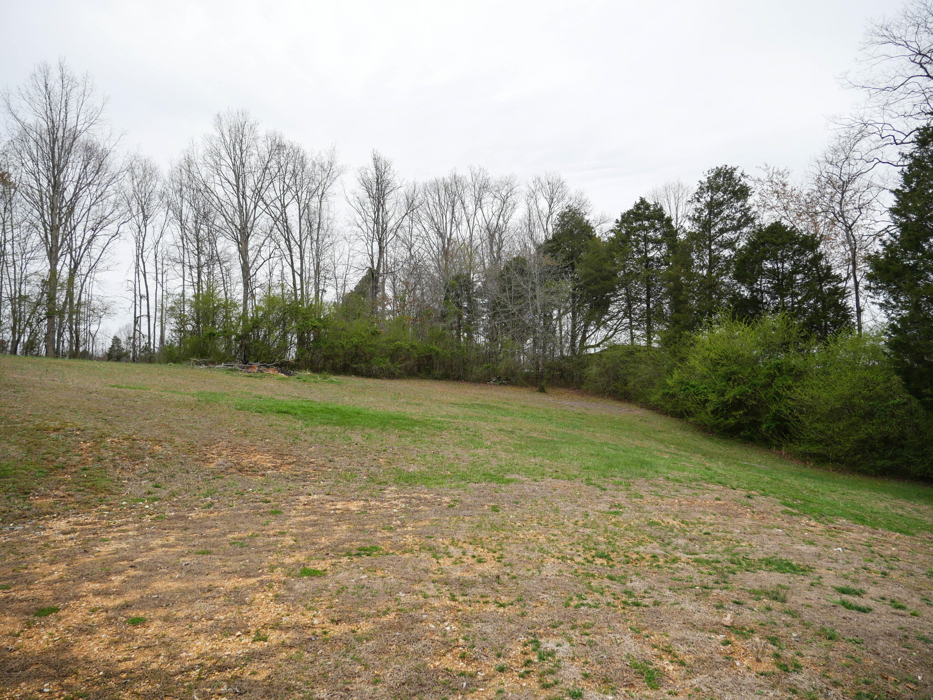 1018 Euchee Road Ten Mile, TN 37880 - Photo 29 of 30 P1030259-2