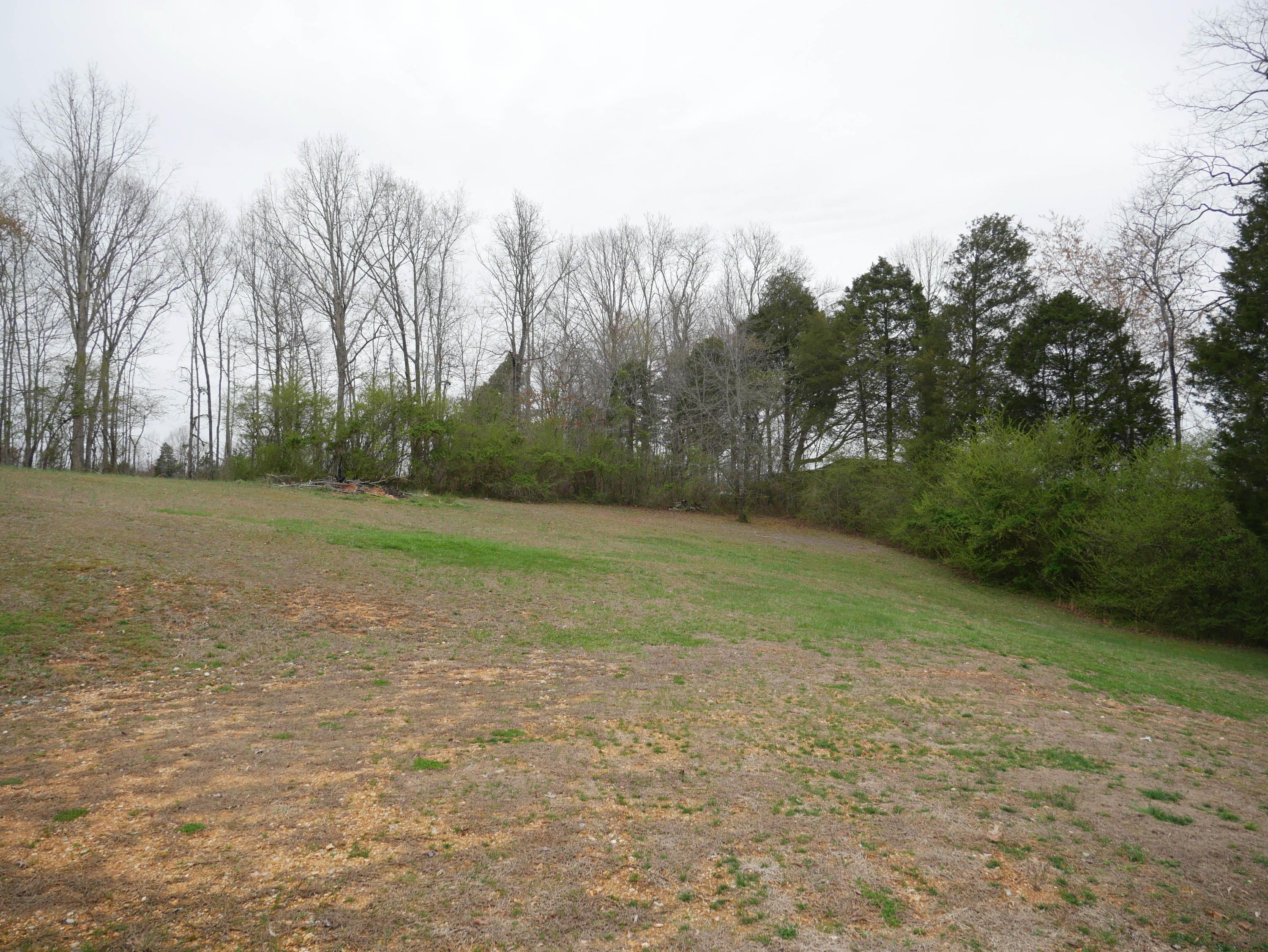 1018 Euchee Road Ten Mile, TN 37880 - Photo 30 of 30 P1030260-2