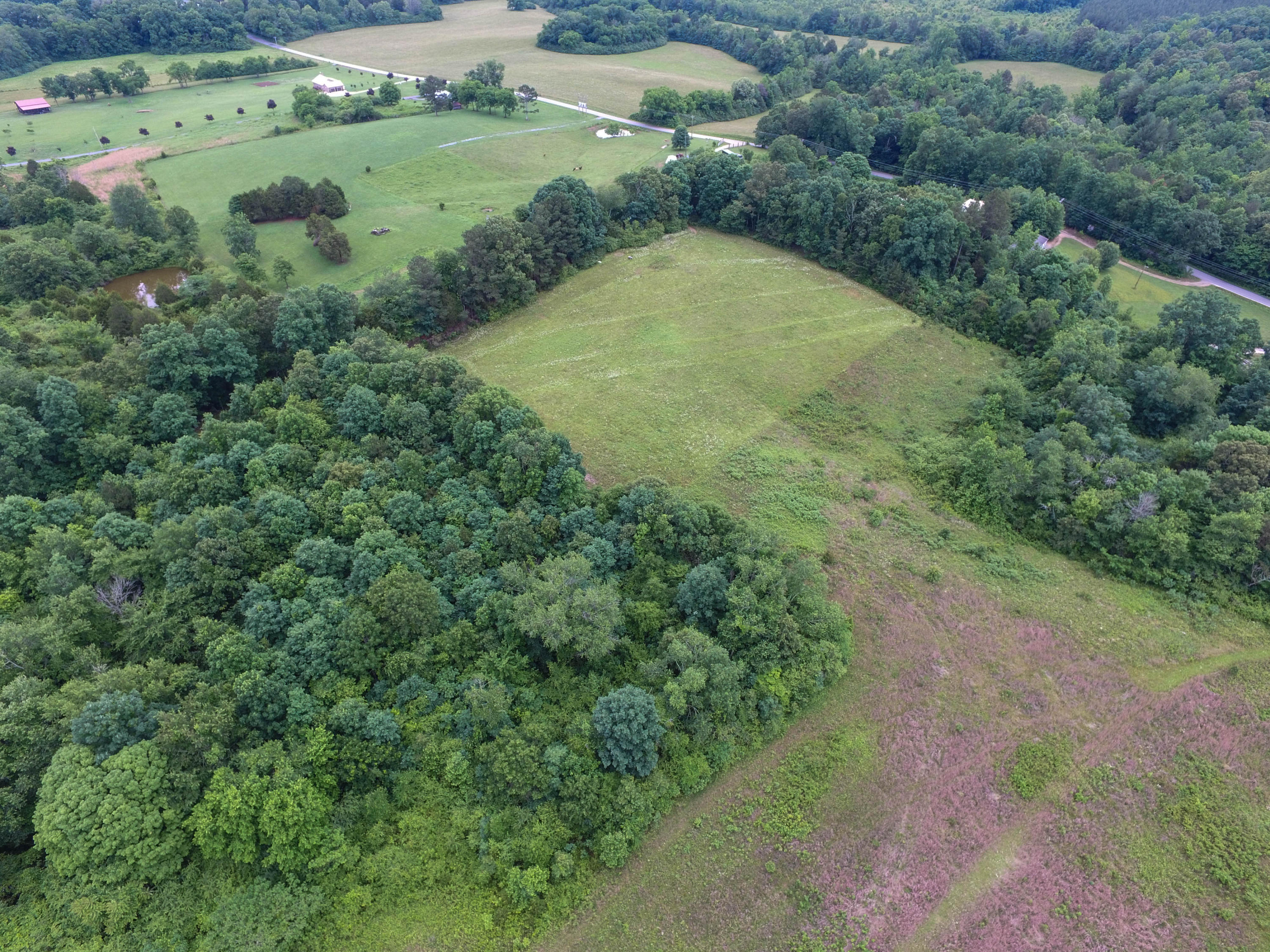 1018 Euchee Road Ten Mile, TN 37880 - Photo 6 of 30 DJI_0200