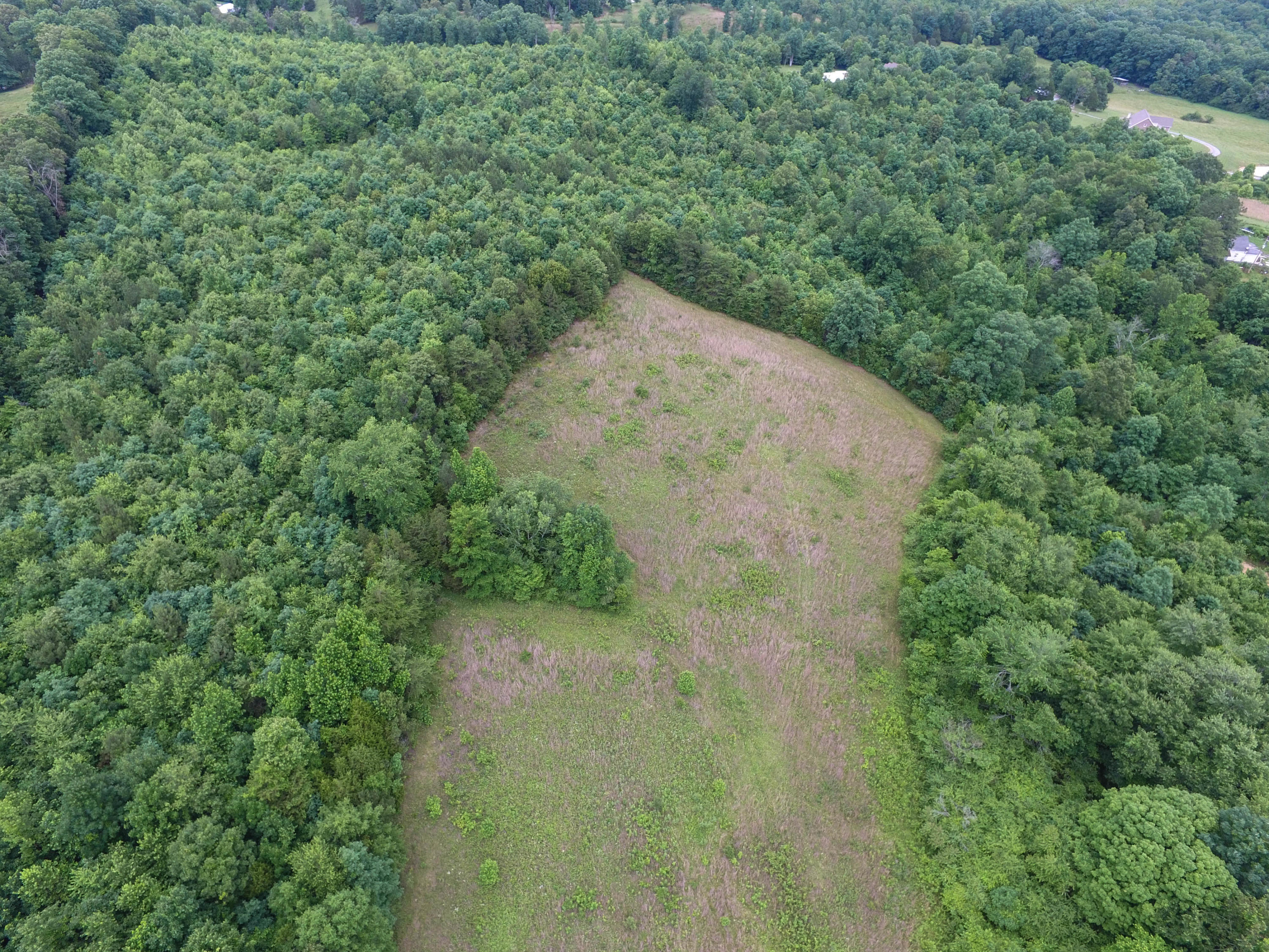 1018 Euchee Road Ten Mile, TN 37880 - Photo 7 of 30 DJI_0199