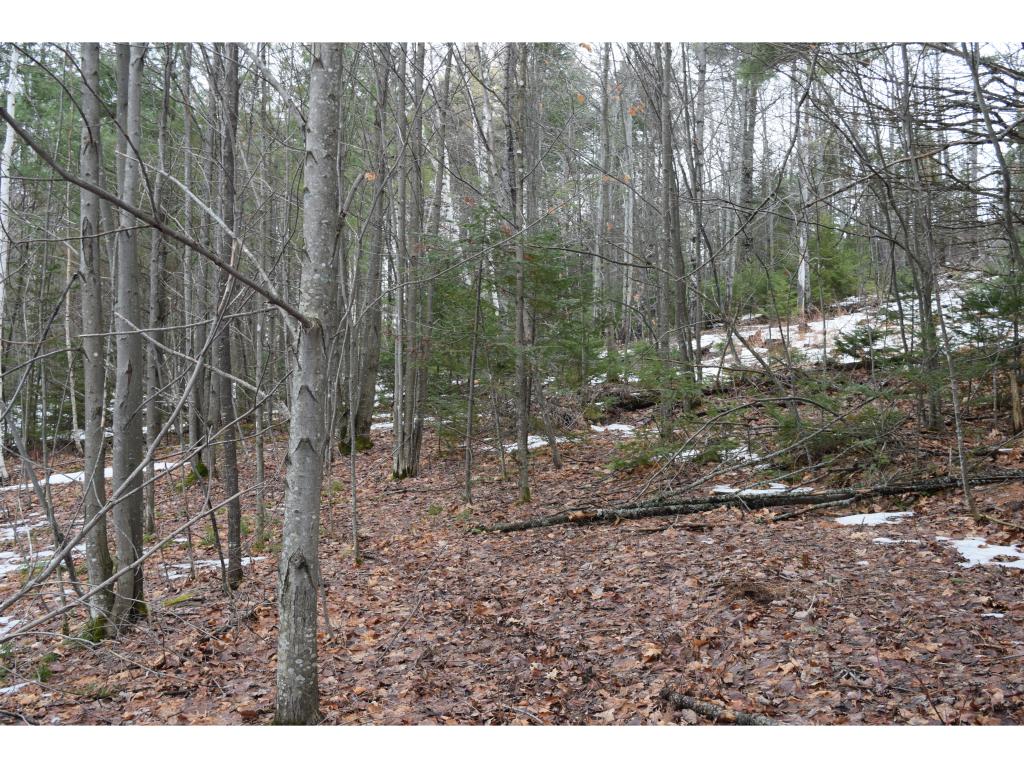 530 Blakslee Road Dalton, NH 03598 - Photo 33 of 36