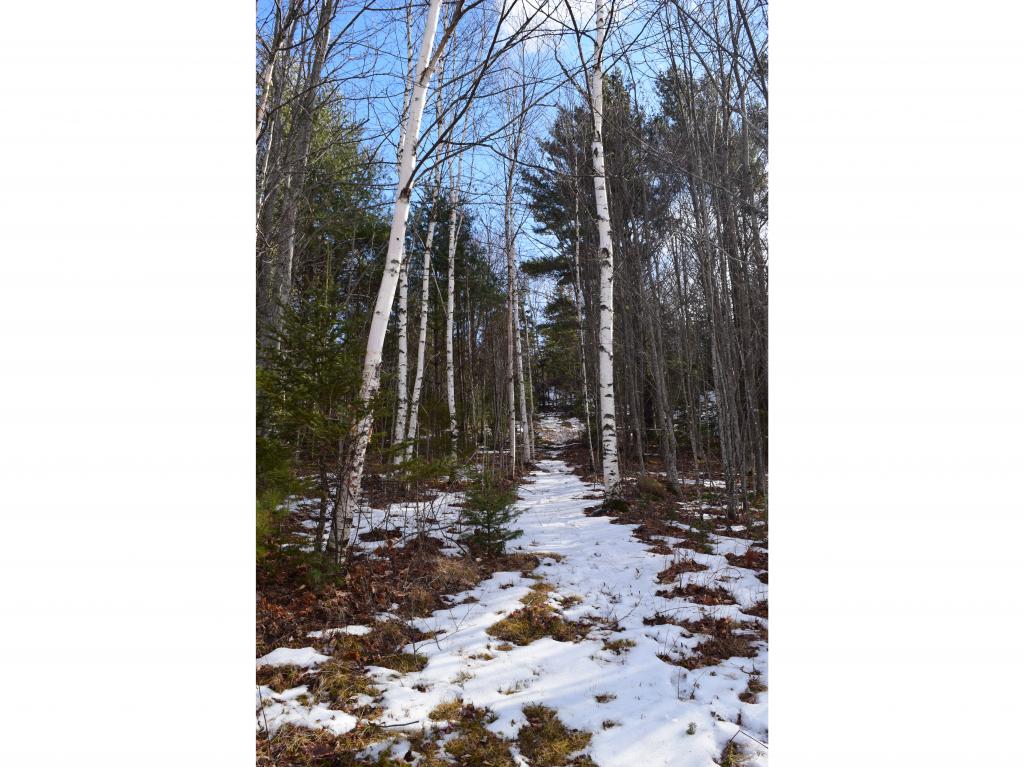 530 Blakslee Road Dalton, NH 03598 - Photo 34 of 36