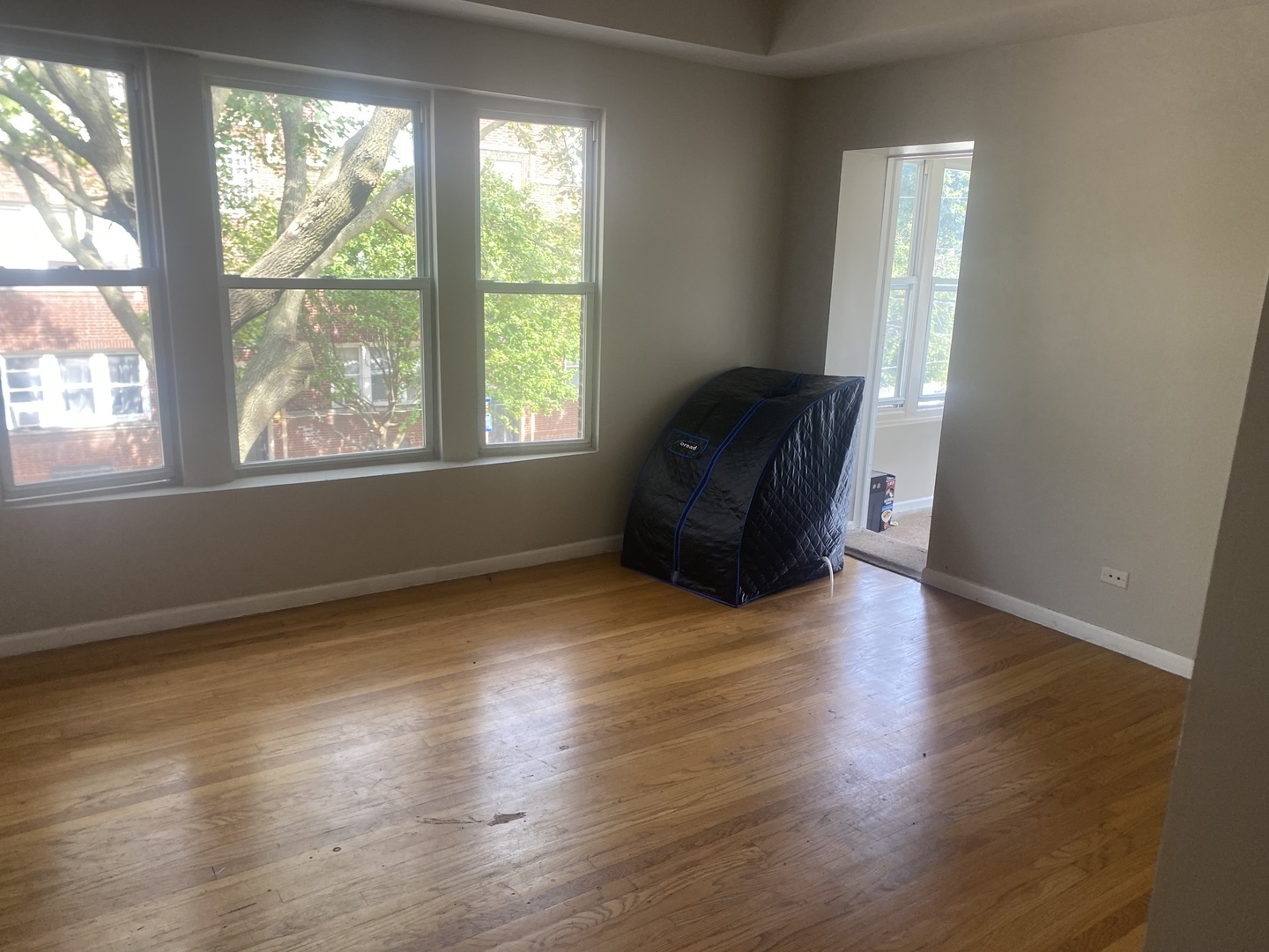 1253 West 80th Street, Unit 2E Chicago, IL 60620 - Photo 4 of 10 a view of livingroom with furniture and wooden floor