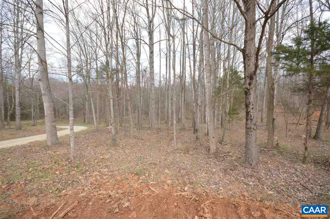 2501 Dunnes Shop Road Ruckersville, VA 22968 - Photo 40 of 46 a view of backyard with trees
