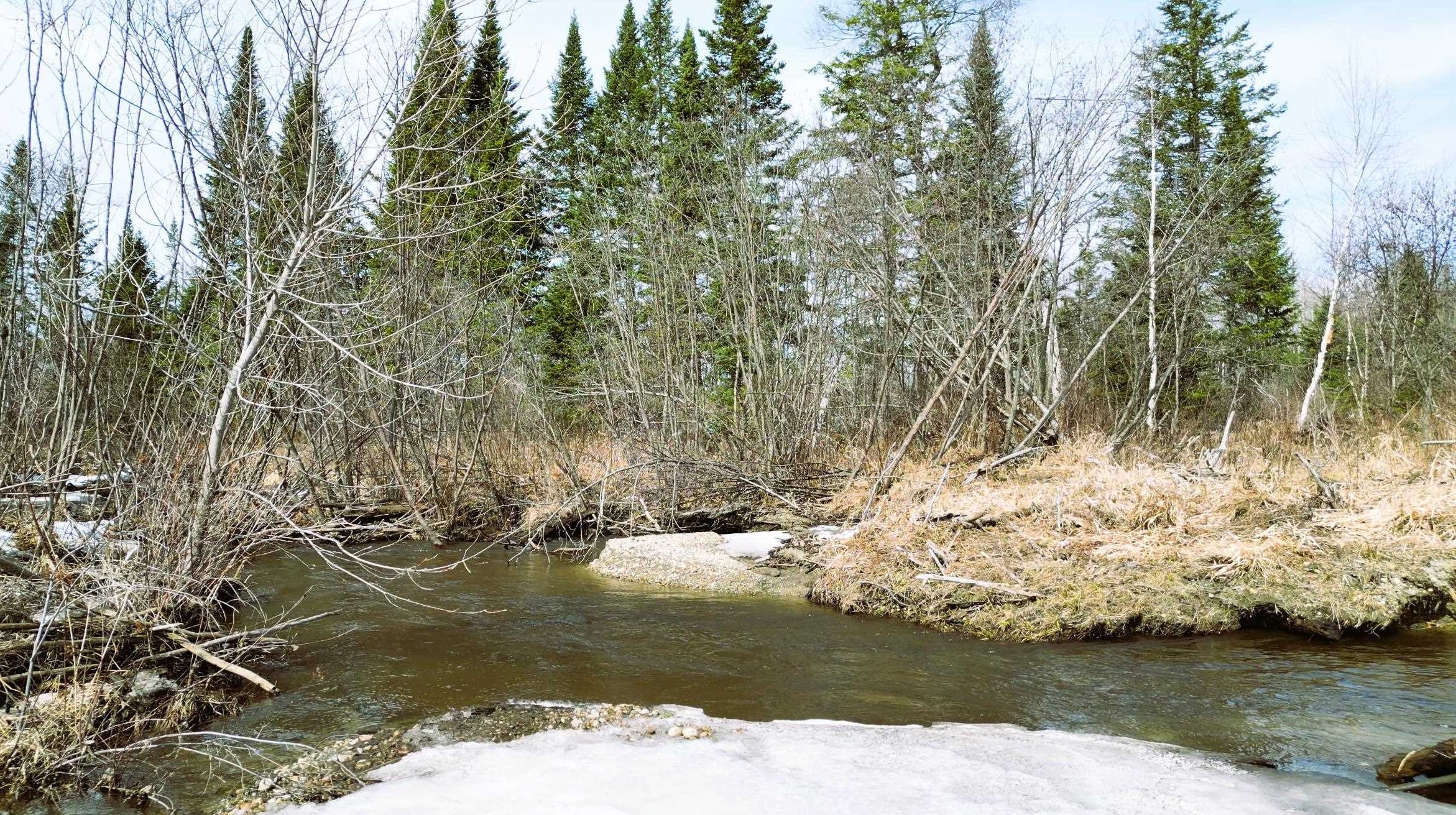 69 Casey Lane Jefferson, NH 03583 - Photo 21 of 43