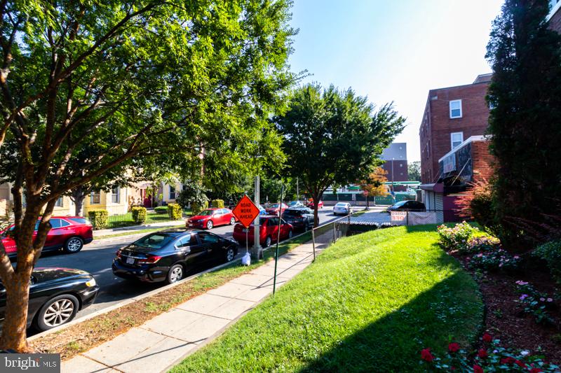 321 Adams Street Northeast Washington, DC 20002 - Photo 5 of 5 Charming street with vibrant greenery.