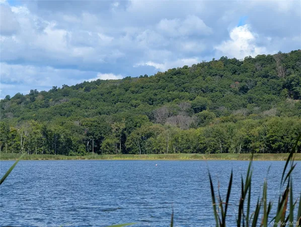 a view of a yard with wooden fence