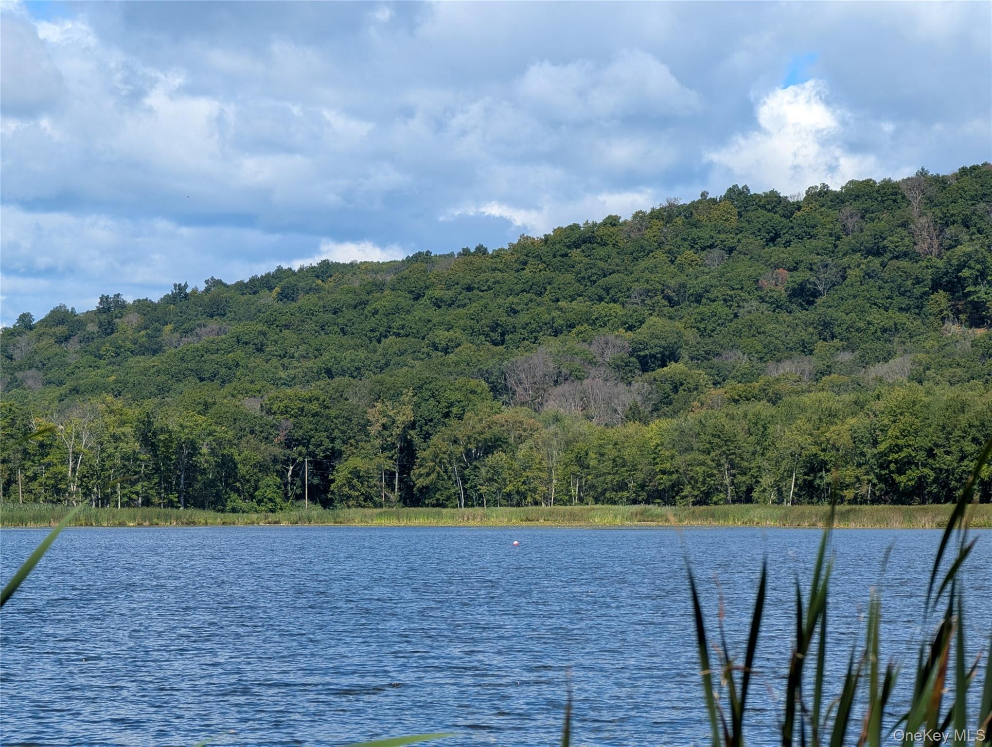 a view of a yard with wooden fence