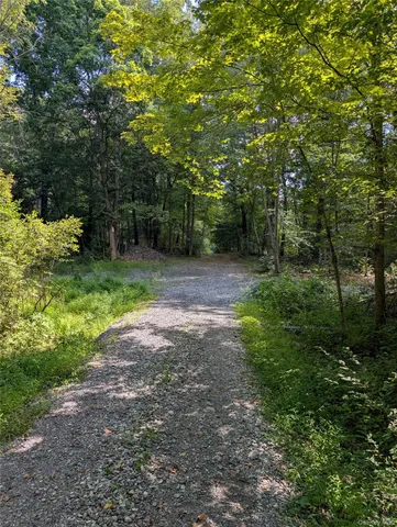 a big yard with lots of green space and deers