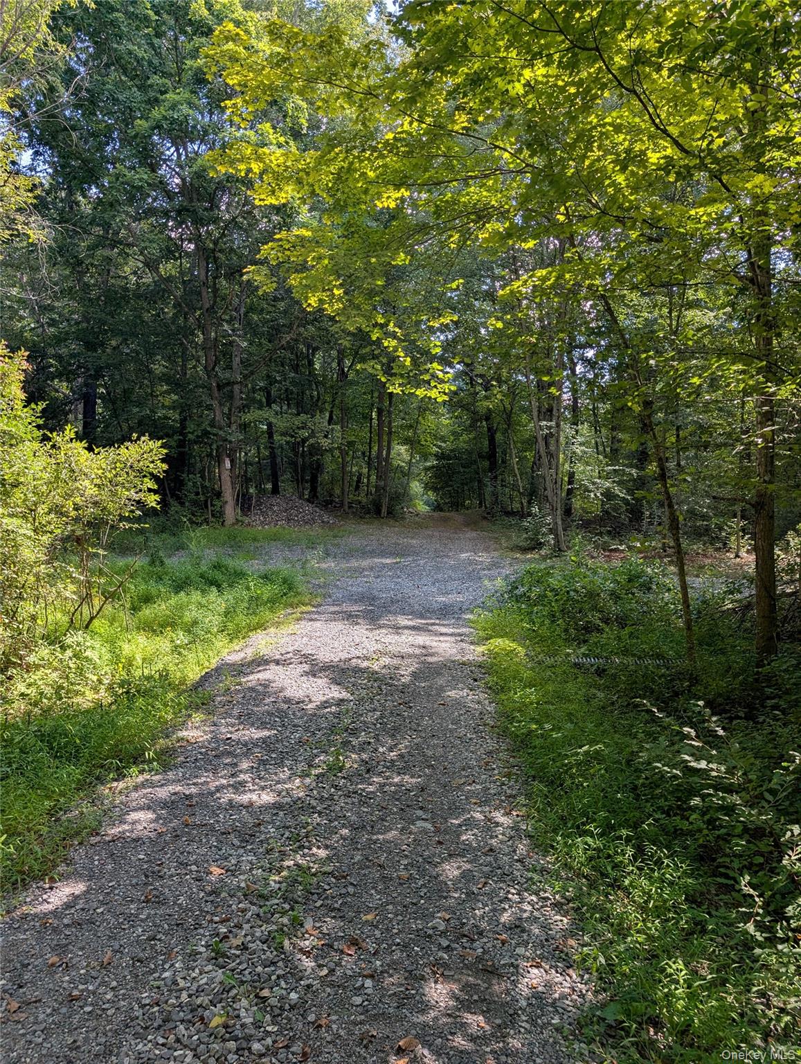 66-333 County Rte 27 Copake, NY 12516 - Photo 2 of 3 a big yard with lots of green space and deers