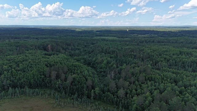 0 Highway 63 Springbrook Wi 54875 Springbrook, WI 54875 - Photo 15 of 19