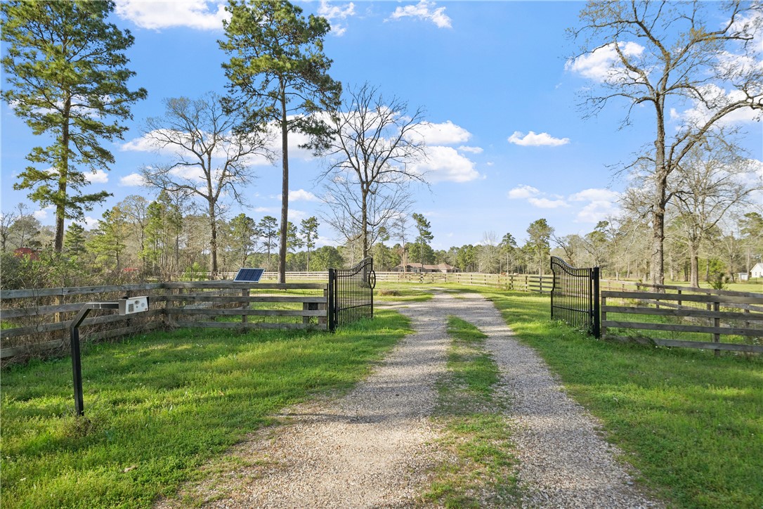 26250 Riley Road Waller, TX 77484 - Photo 12 of 14 a view of a park with large trees