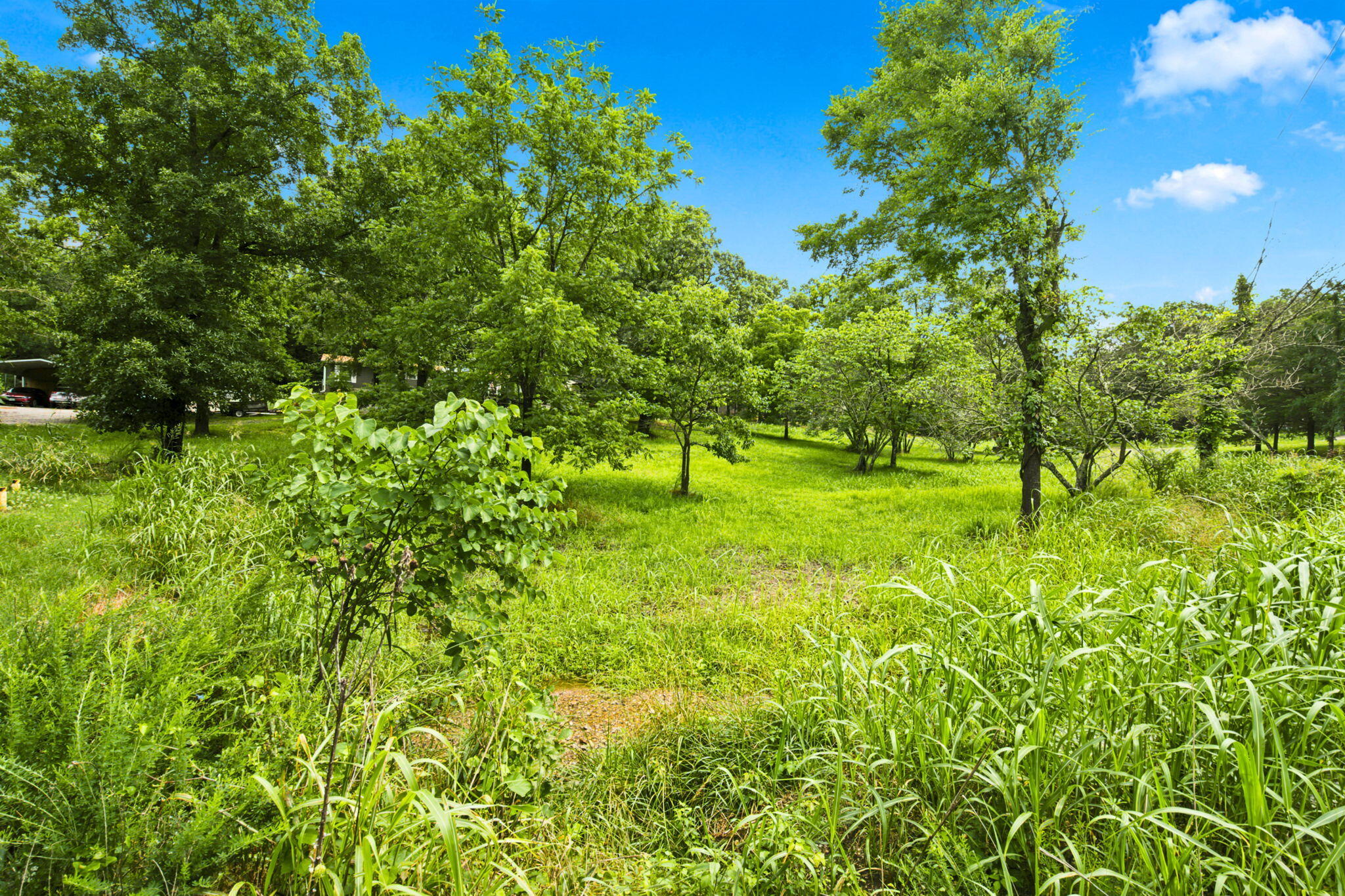 0 Cedar Cove Road Reeds Spring, MO 65737 - Photo 4 of 46 8-web-or-mls-HWJ09024