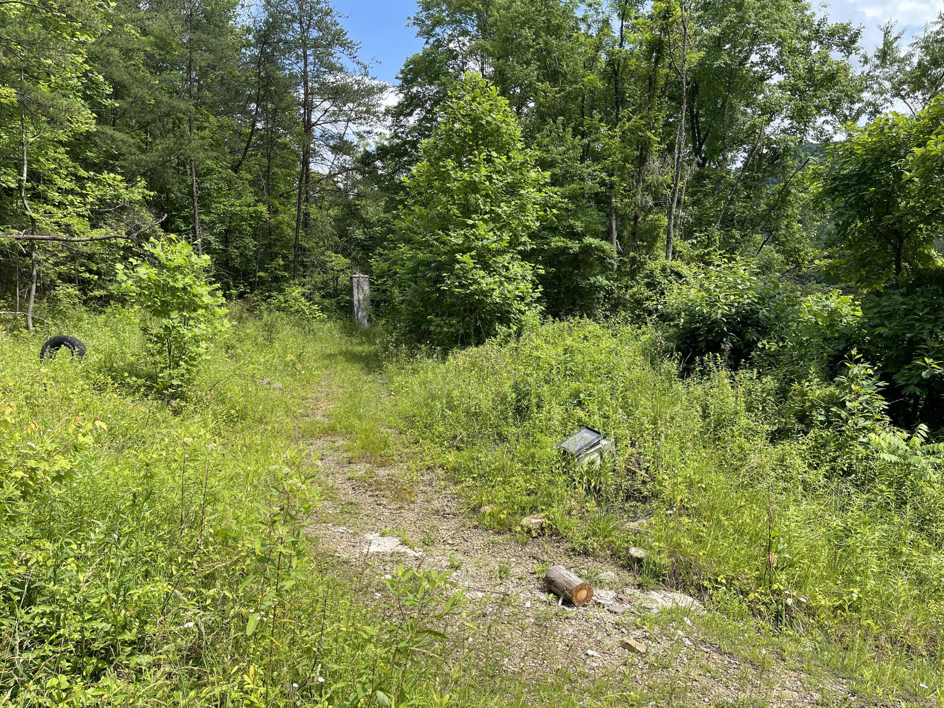 56 Lee Road Fayetteville, WV 25840 - Photo 1 of 8 Gallery Image 1