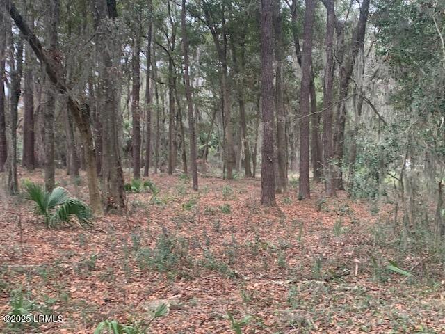197 Meridian Road Beaufort, SC 29907 - Photo 3 of 6 Cleared lot