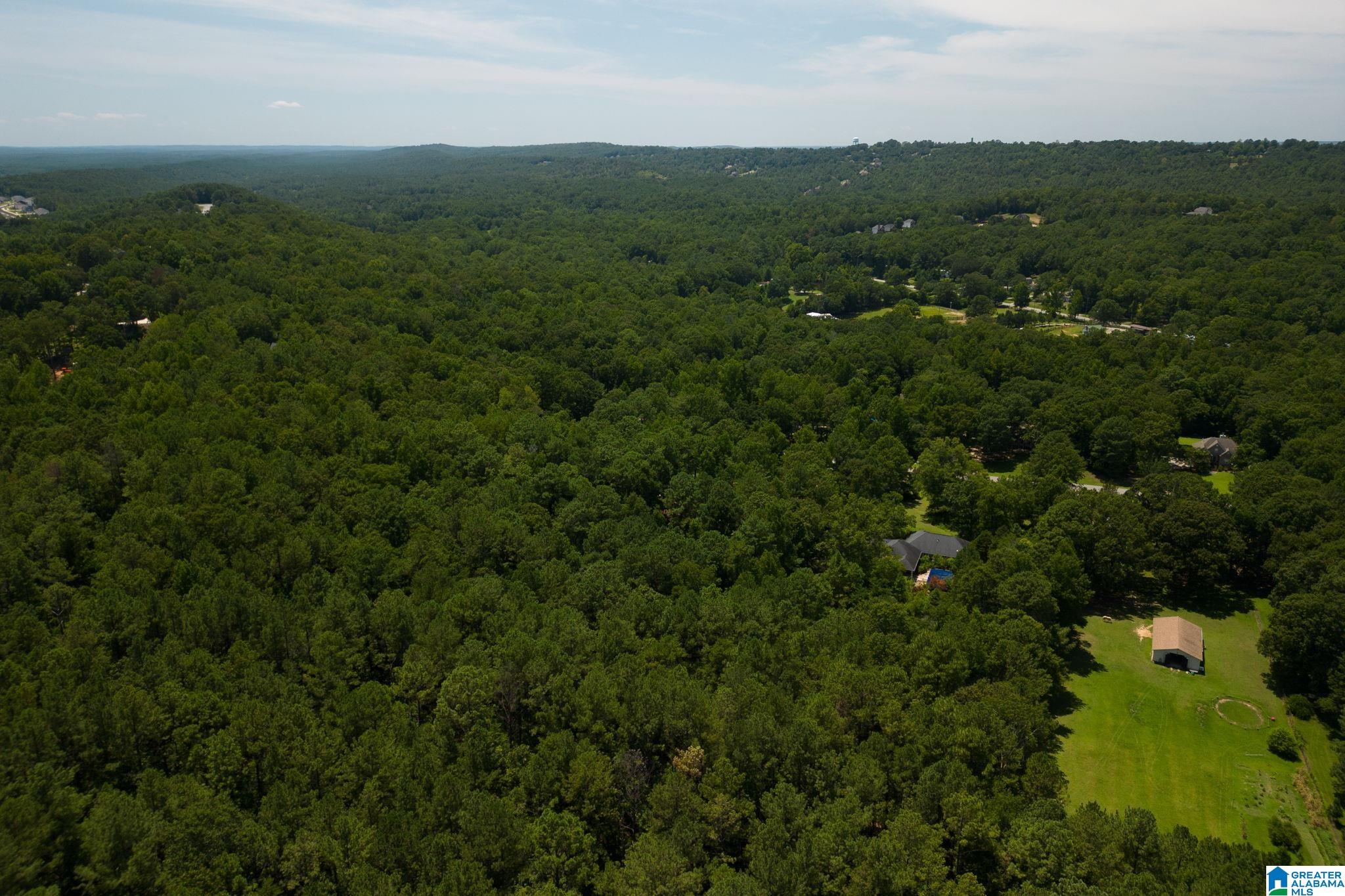 132 Chestnut Lane Helena, AL 35080 - Photo 48 of 59