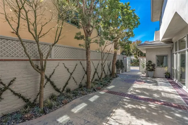 a view of a backyard with pathway