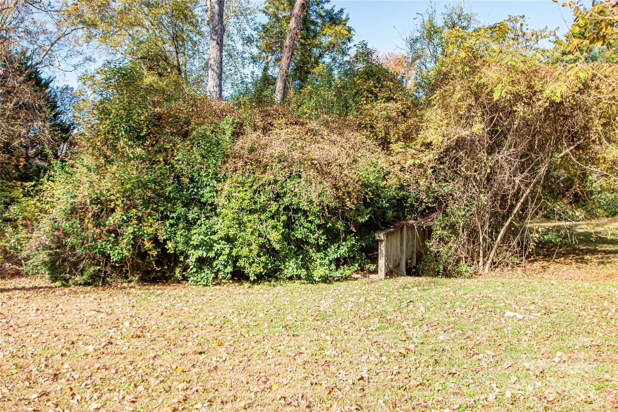 1741 Dallas Avenue Charlotte, NC 28205 - Photo 5 of 40 a view of mountain view