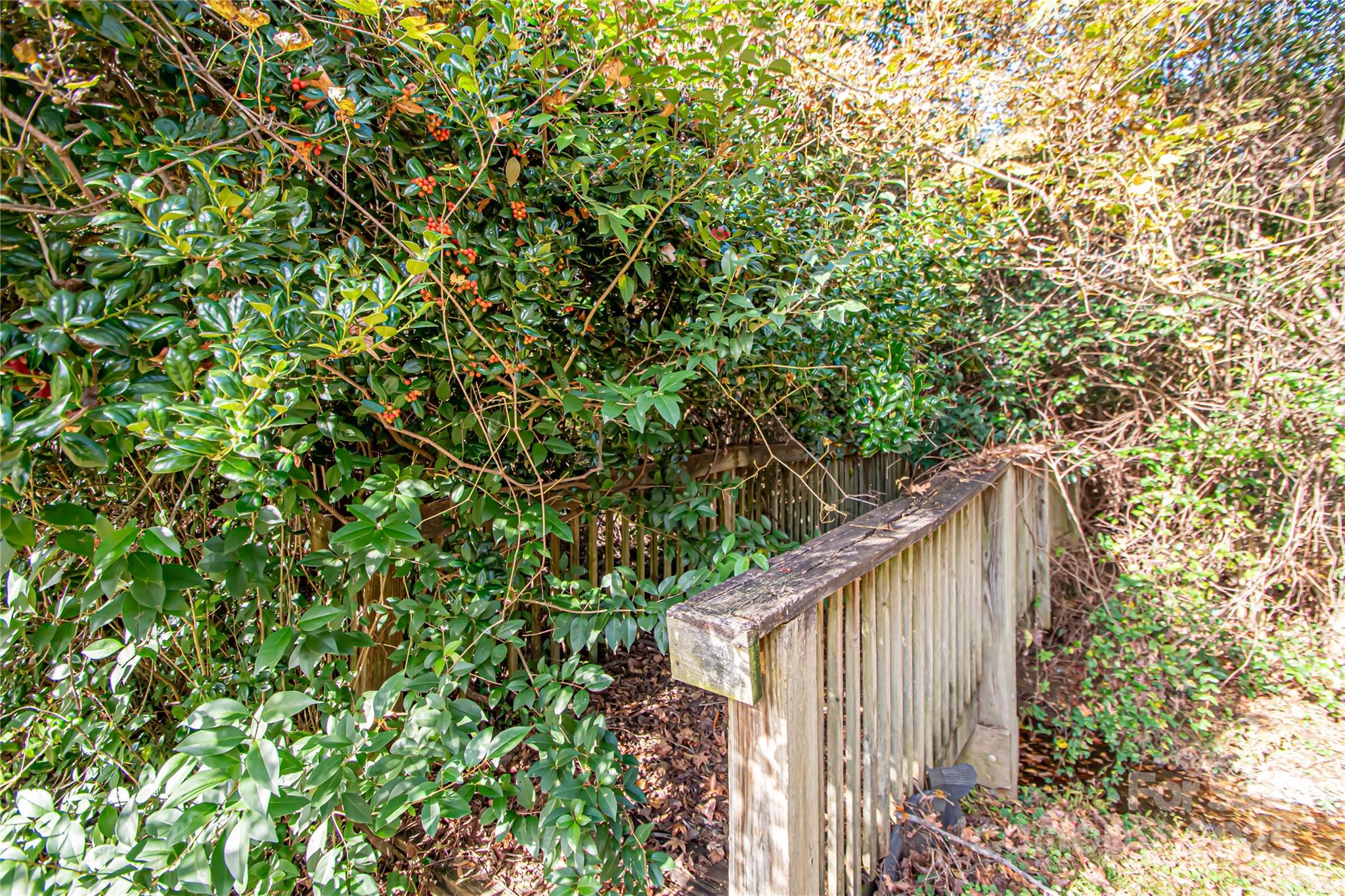 1741 Dallas Avenue Charlotte, NC 28205 - Photo 8 of 40 a backyard of a house with lots of green space