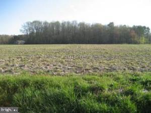 Lot 2 Peerless Road Showell, MD 21862 - Photo 1 of 1