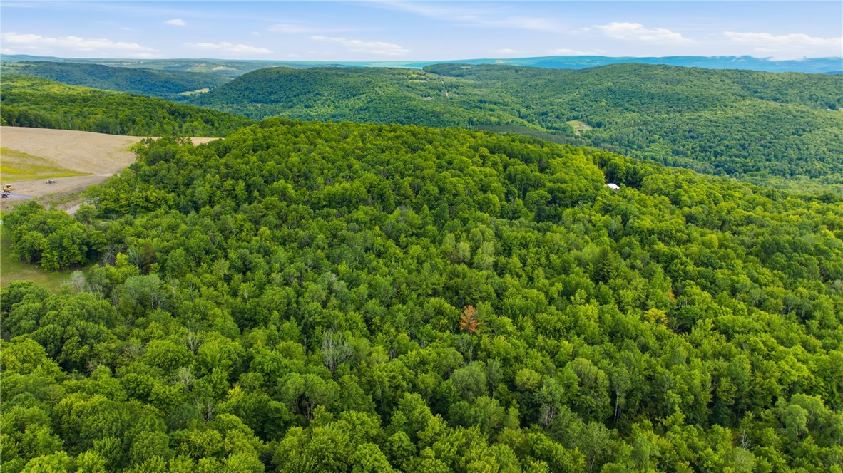 Dunn Road Pine Valley, NY 14872 - Photo 10 of 14