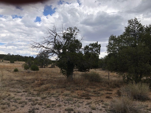 394 Candy Kitchen Road Ramah, NM 87357 - Photo 15 of 29