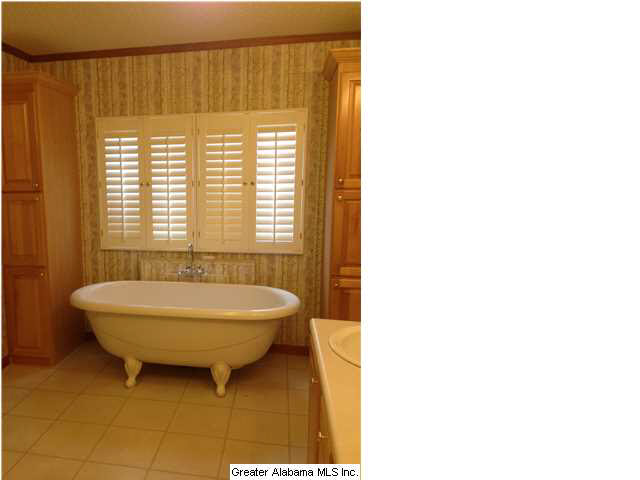 5055 Cragford Road Ashland, AL 36251 - Photo 16 of 24