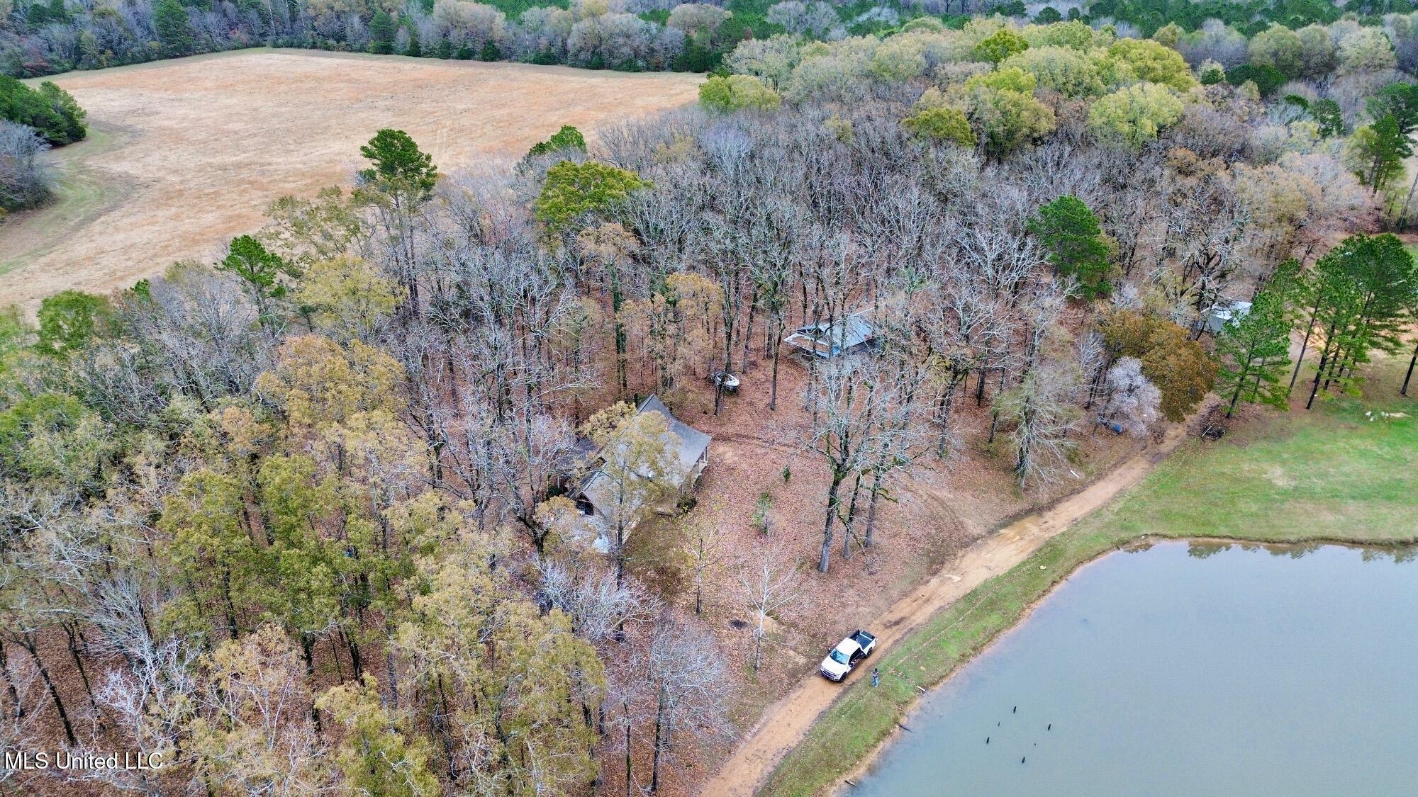 442 Ratliff Ferry Road Canton, MS 39046 - Photo 11 of 52 dji_fly_20251204_135914_8_1765058061610_
