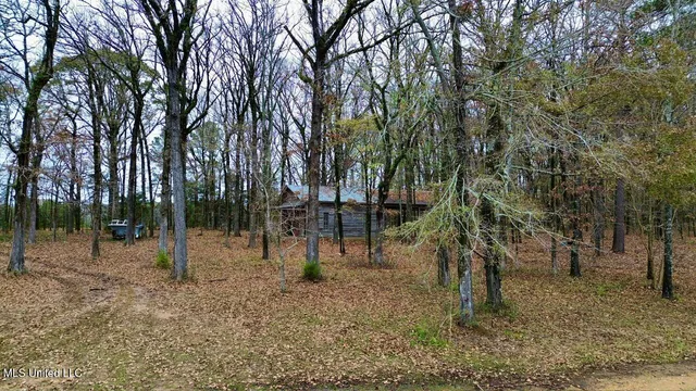 $315,000 | 442 Ratliff Ferry Road, Canton, MS 39046