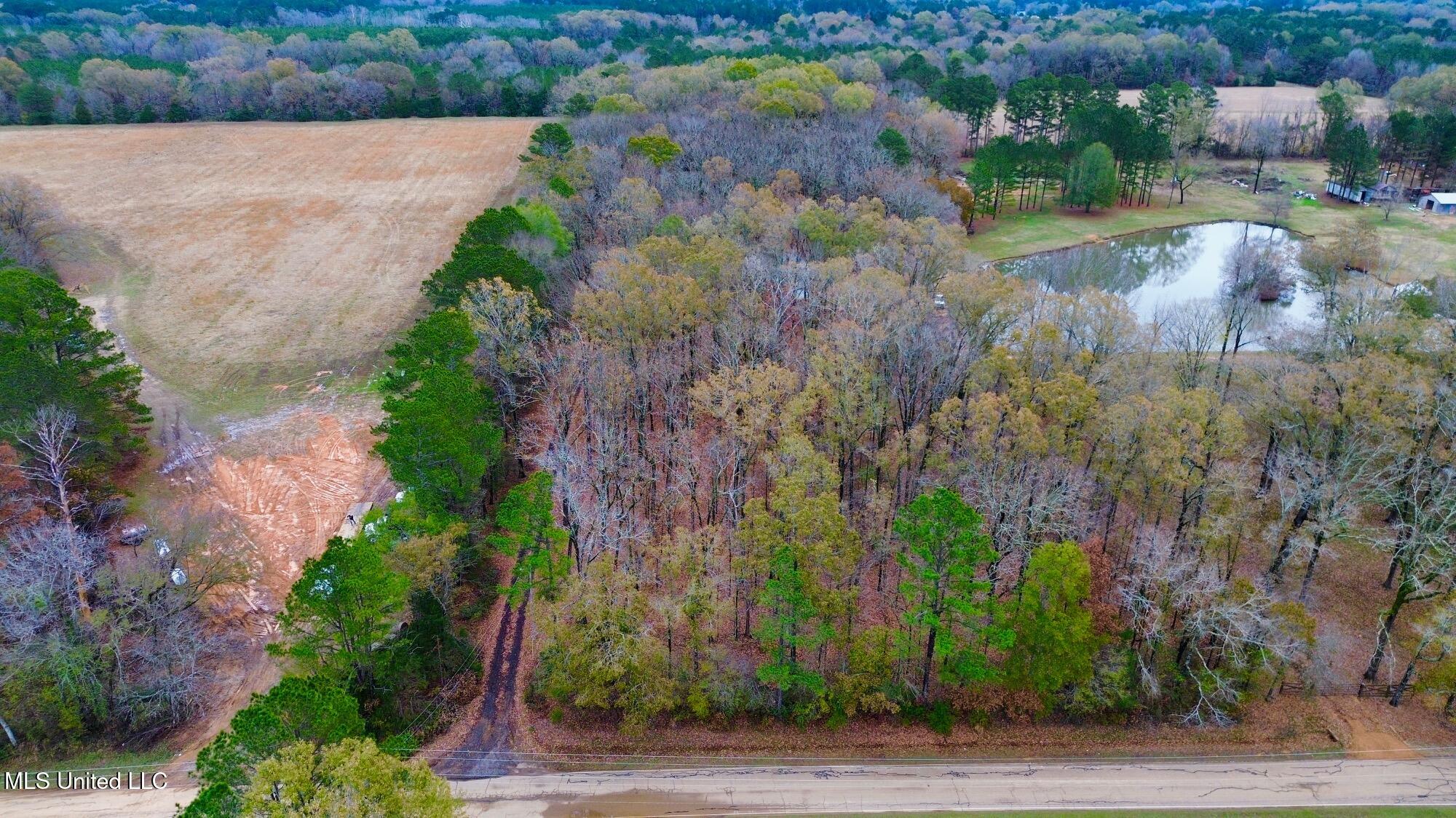 442 Ratliff Ferry Road Canton, MS 39046 - Photo 13 of 52 dji_fly_20251204_140154_17_1765058055706
