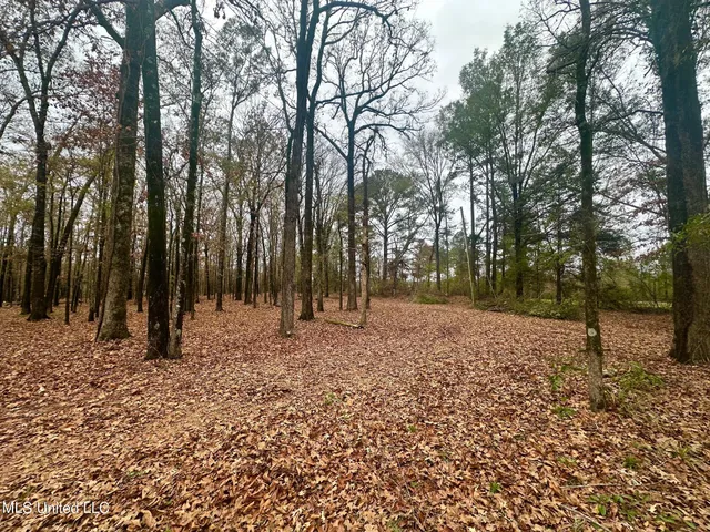 $315,000 | 442 Ratliff Ferry Road, Canton, MS 39046