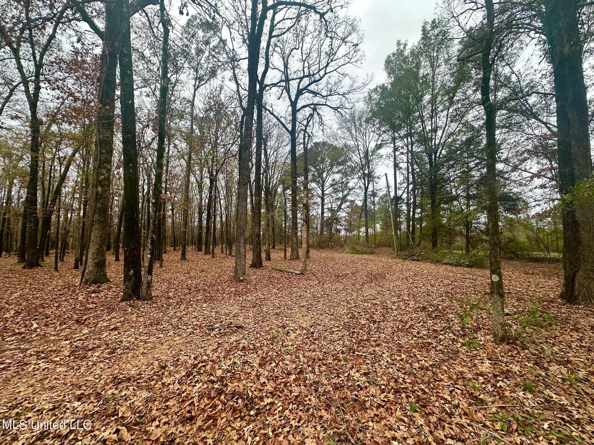 442 Ratliff Ferry Road Canton, MS 39046 - Photo 18 of 52 IMG_5361