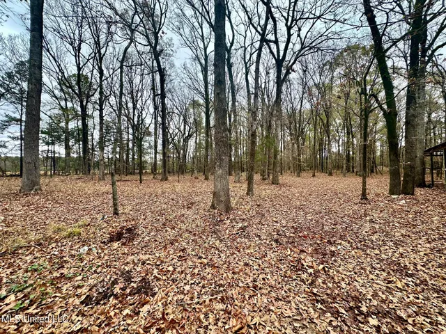 $314,500 | 442 Ratliff Ferry Road, Canton, MS 39046