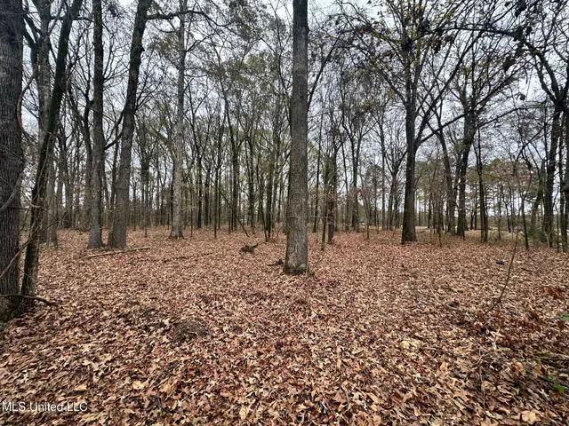 $314,500 | 442 Ratliff Ferry Road, Canton, MS 39046