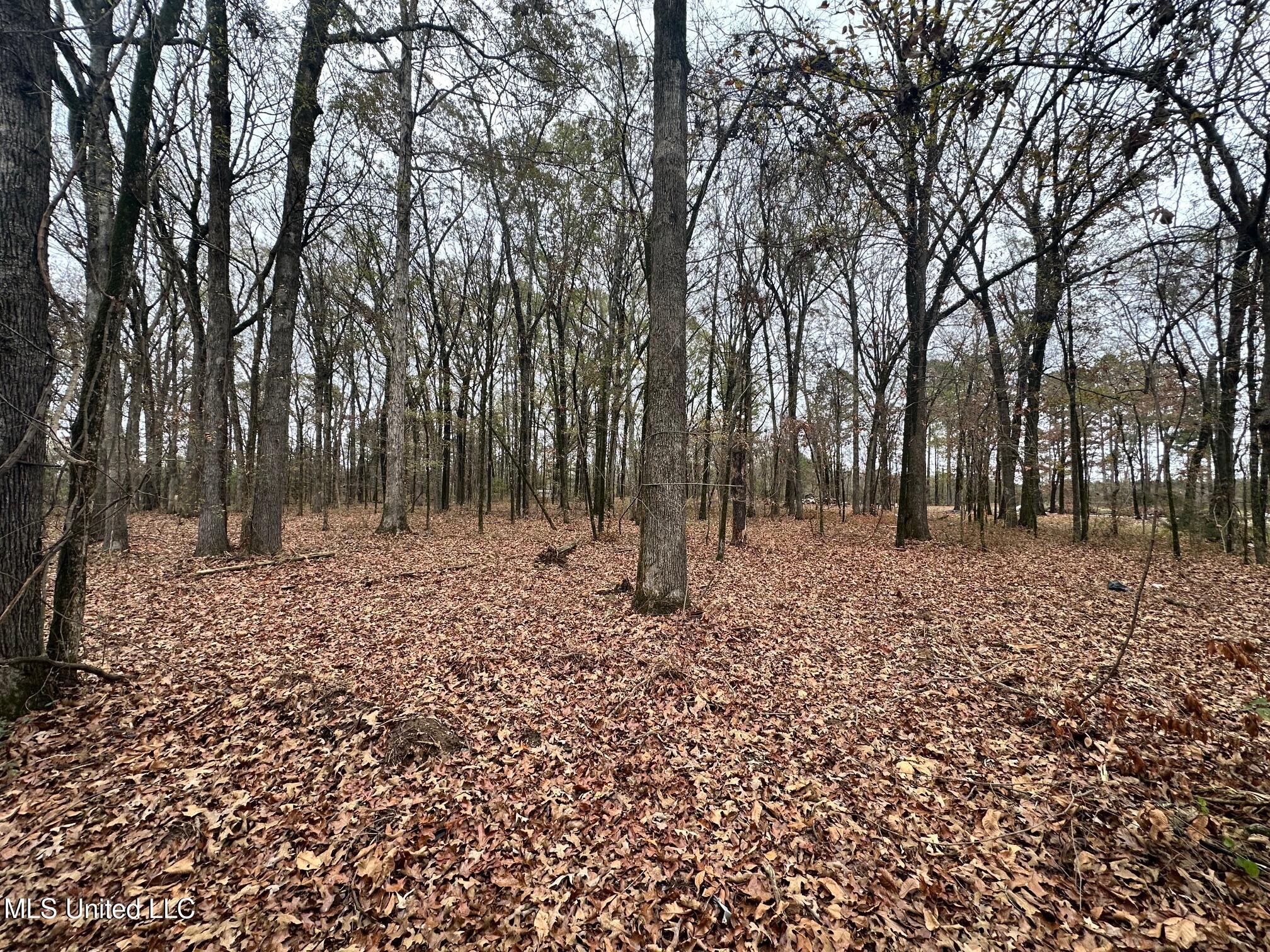 442 Ratliff Ferry Road Canton, MS 39046 - Photo 26 of 52 IMG_5381