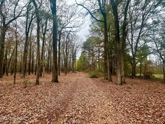 $314,500 | 442 Ratliff Ferry Road, Canton, MS 39046