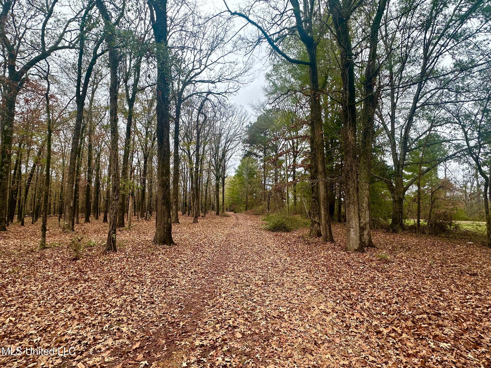 442 Ratliff Ferry Road Canton, MS 39046 - Photo 10 of 52 IMG_5359