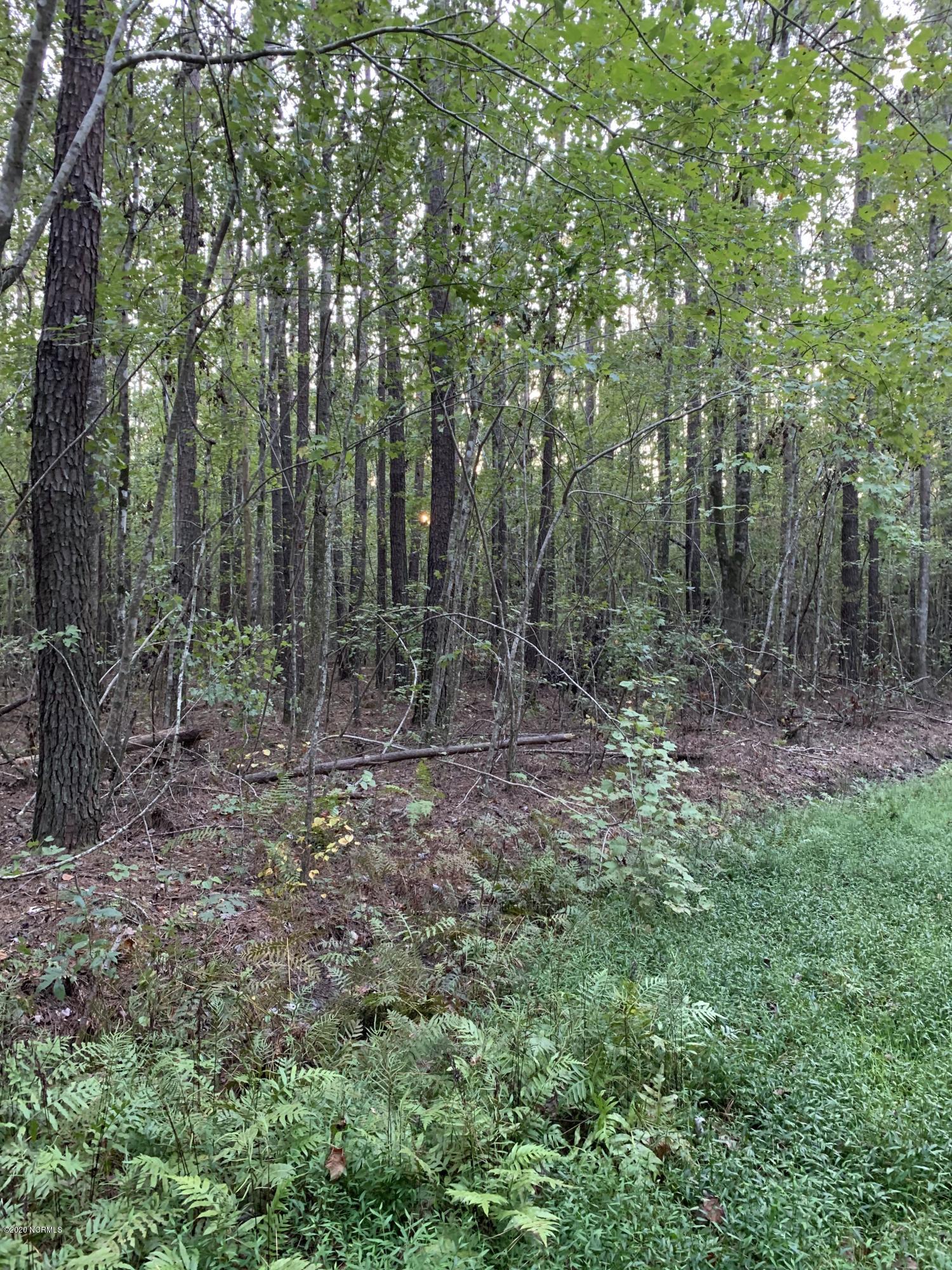 0 Mt Pleasant Road Creswell, NC 27928 - Photo 1 of 14 Land for sale