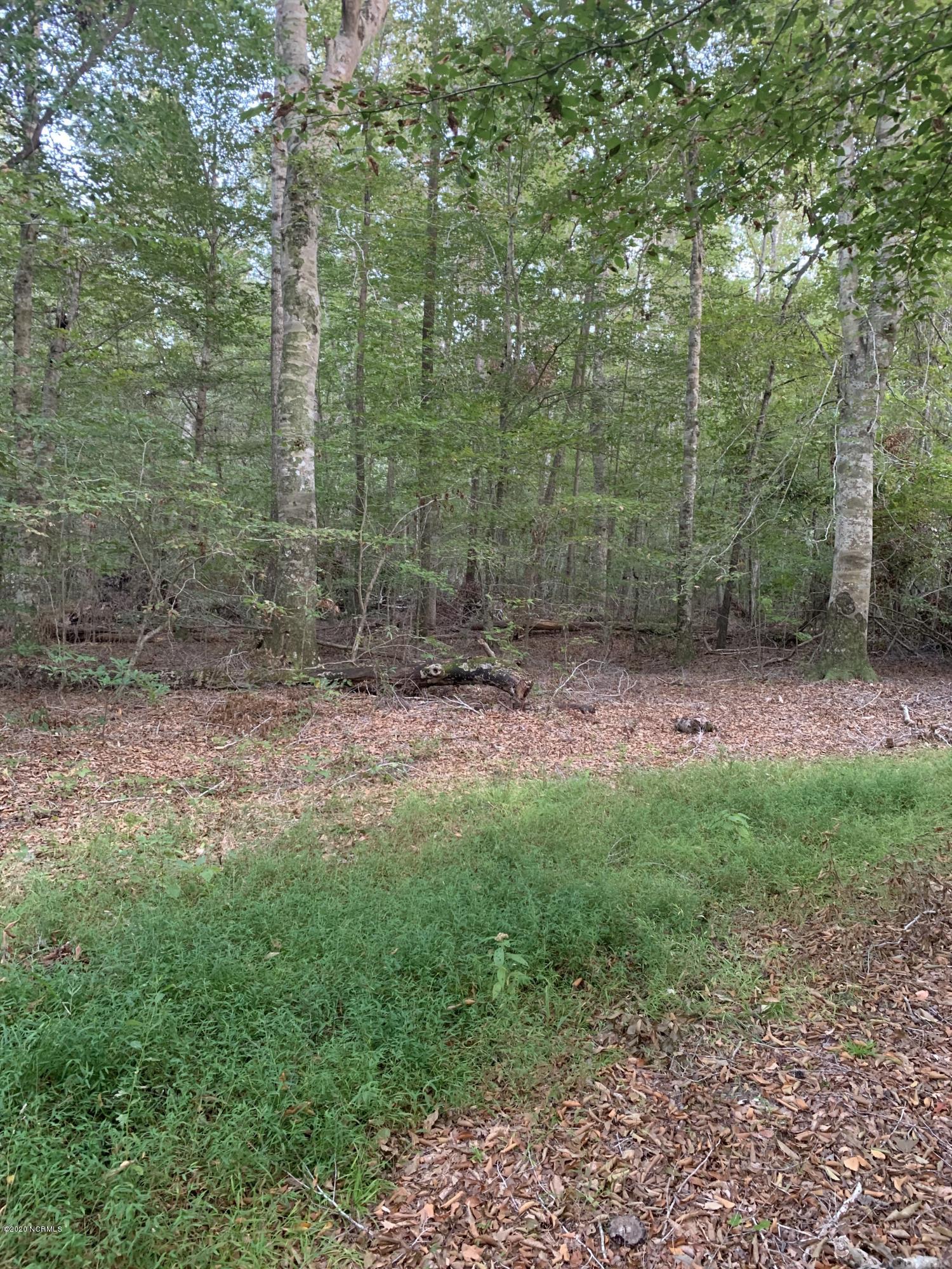 0 Mt Pleasant Road Creswell, NC 27928 - Photo 13 of 14 IMG_1640