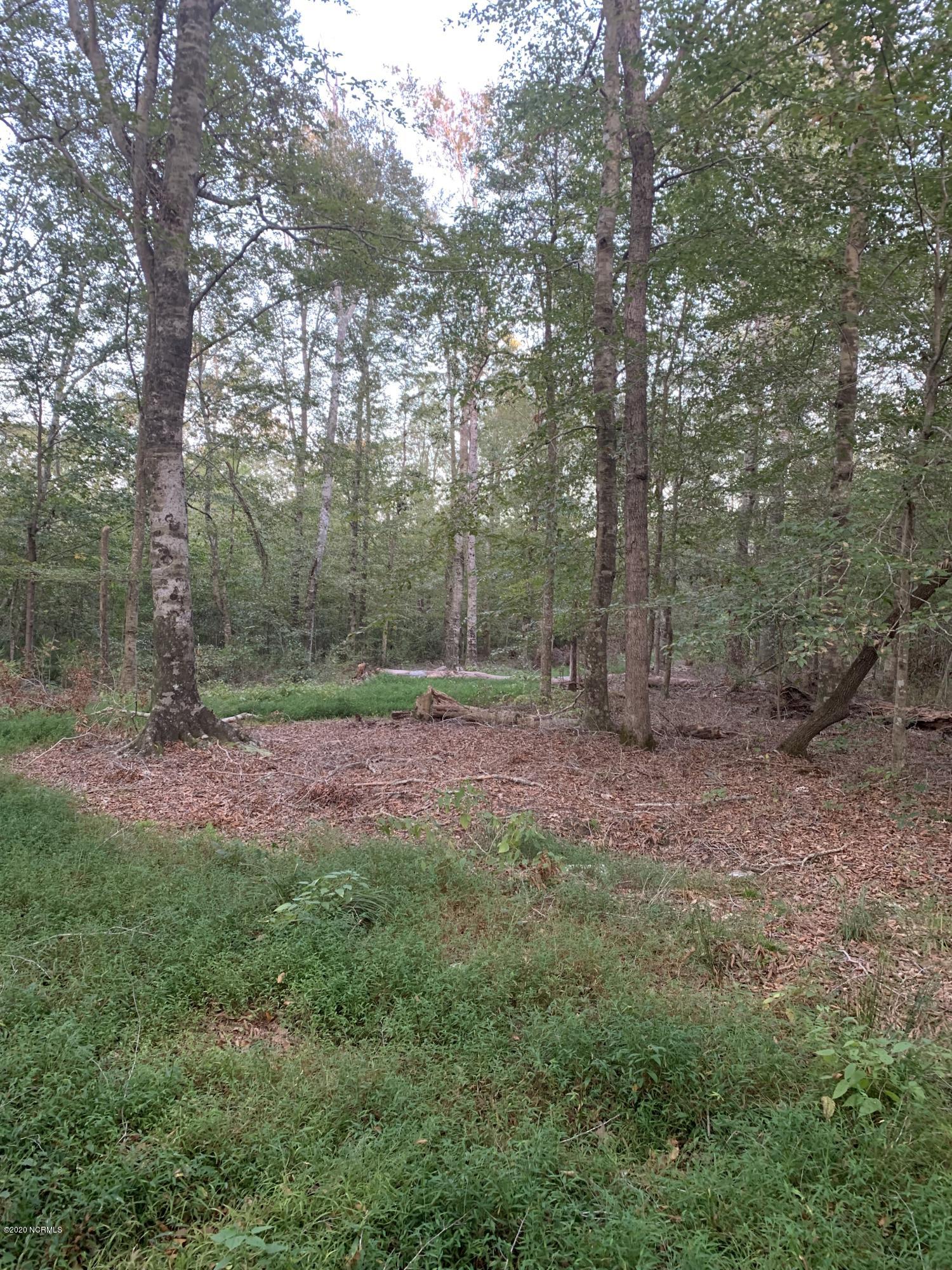 0 Mt Pleasant Road Creswell, NC 27928 - Photo 14 of 14 IMG_1641